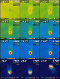 A sequence of IR images showing the thermogenesis of a moth at the thorax.